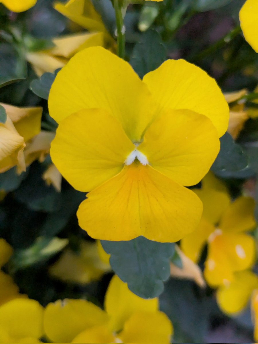 たまら tweet media