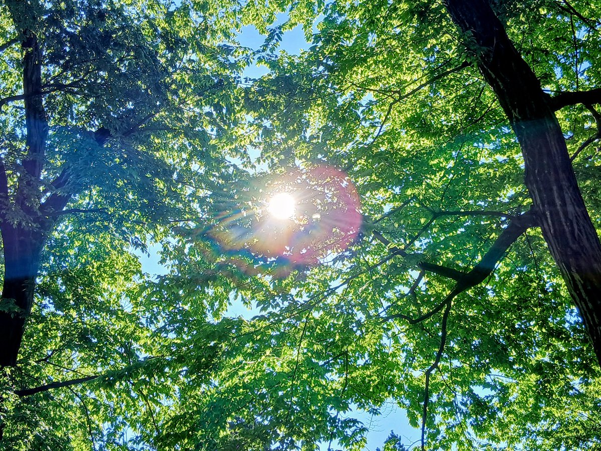 迷いながら

それでも

生きようとする

君に

ひとかけらの

祝福を

前を向く

ことを

やめない君に

ひとかけらの

喜びを

#詩人は夜の生き物 
#goodmorning