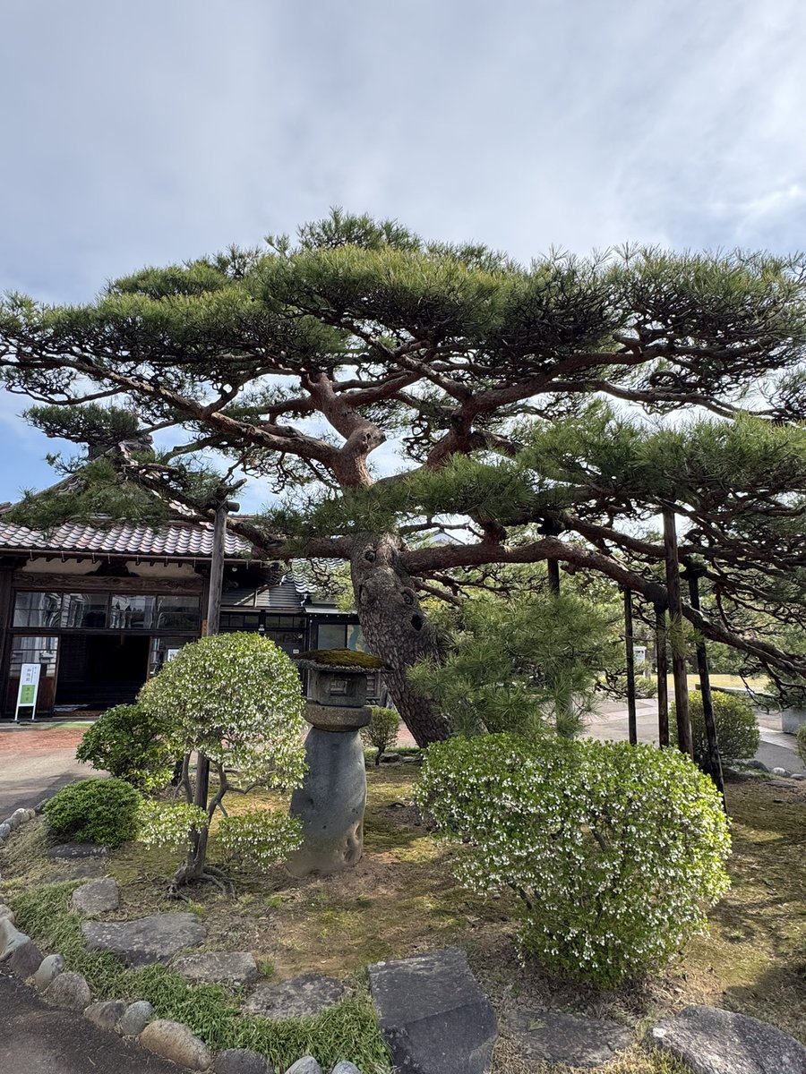 致道博物館 tweet media