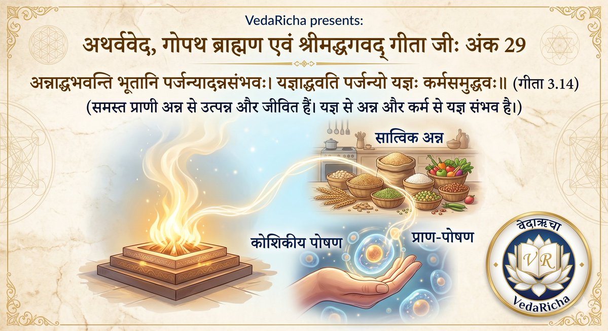 VedaRicha's tweet image. थ्रेड 🧵 1/6
अथर्ववेद एवं गोपथ ब्राह्मण:अंक 29

प्राण और गोत्र की यात्रा अब पहुँचती है 'अन्न' के उस विधान पर जो श्रीमद्भगवद्गीता (3.14) और गोपथ ब्राह्मण को जोड़ता है।
"अन्नाद्भवन्ति भूतानि"— समस्त प्राणी अन्न से उत्पन्न और जीवित हैं। 
#VedaRicha #Gita #ScienceOfFood