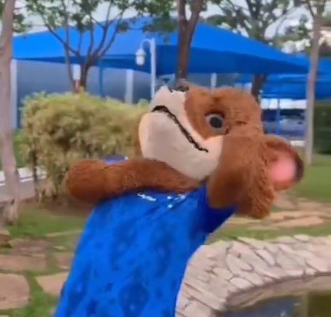Cavalinho do Cruzeiro tweet media