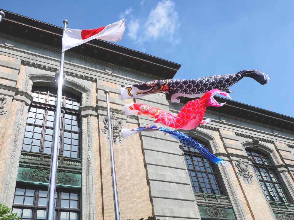 今年も国際子ども図書館では、5月10日（日）までの開館日にこいのぼりを揚げています🎏
お立ち寄りの際はぜひご覧ください✨