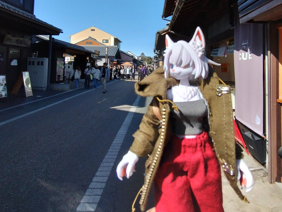 独楽(Koma) tweet media