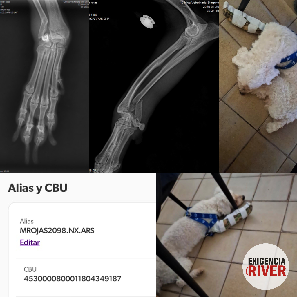 Exigencia River tweet media