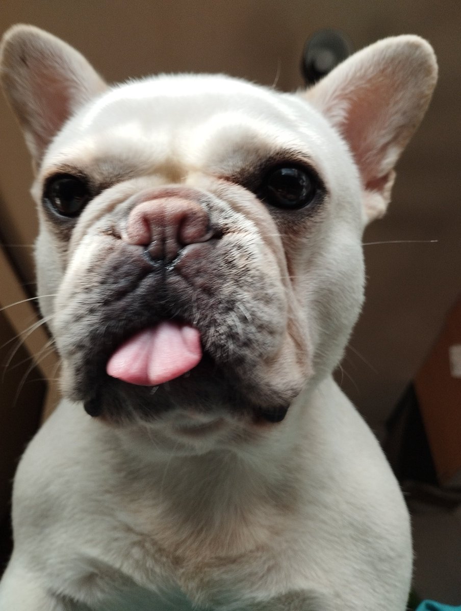 はまちゃん🩲 tweet media