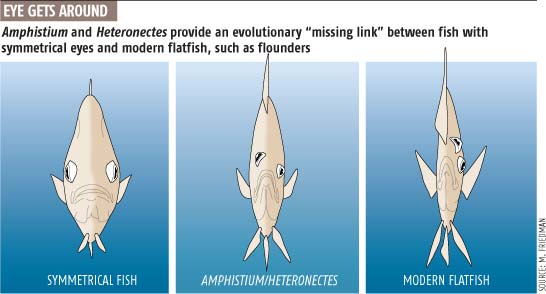 Arcana Oceanis lagi PO | Asta Ebrahim tweet media