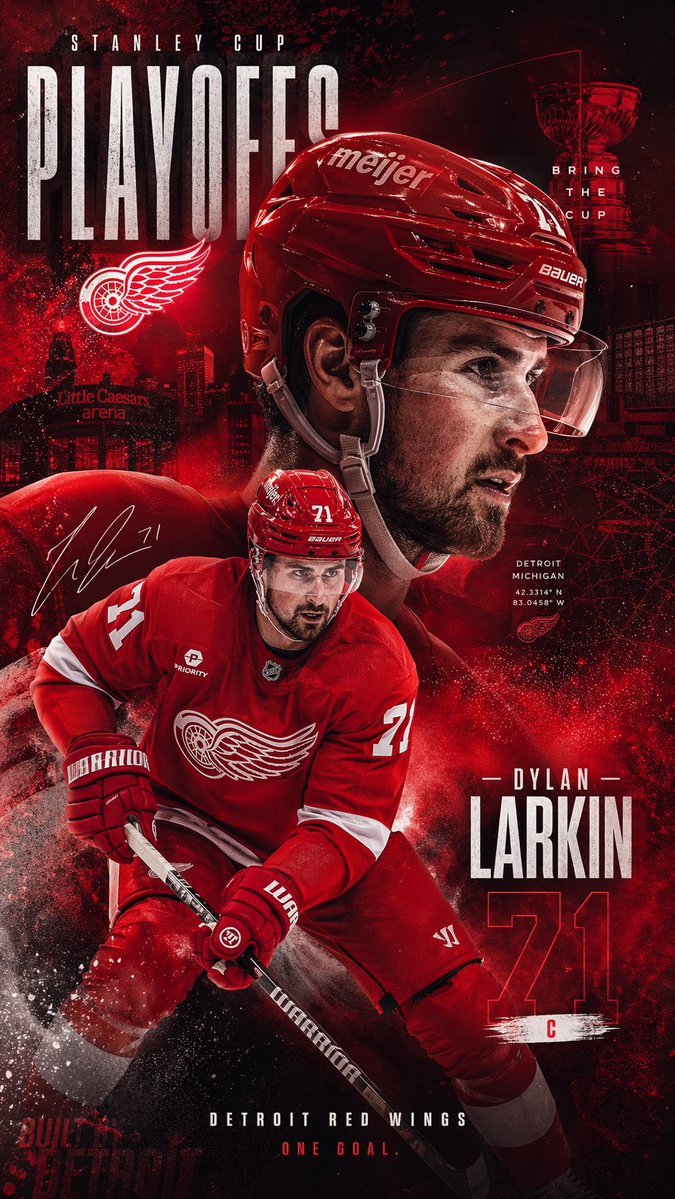 RedwingsCoverage tweet media