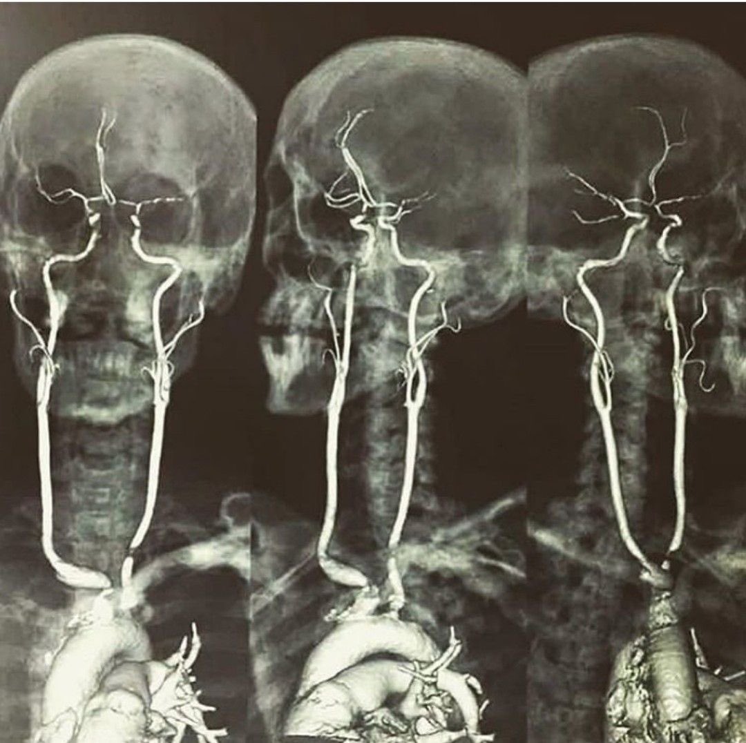 Alfred 🏄🏻‍♀️🌊 tweet media