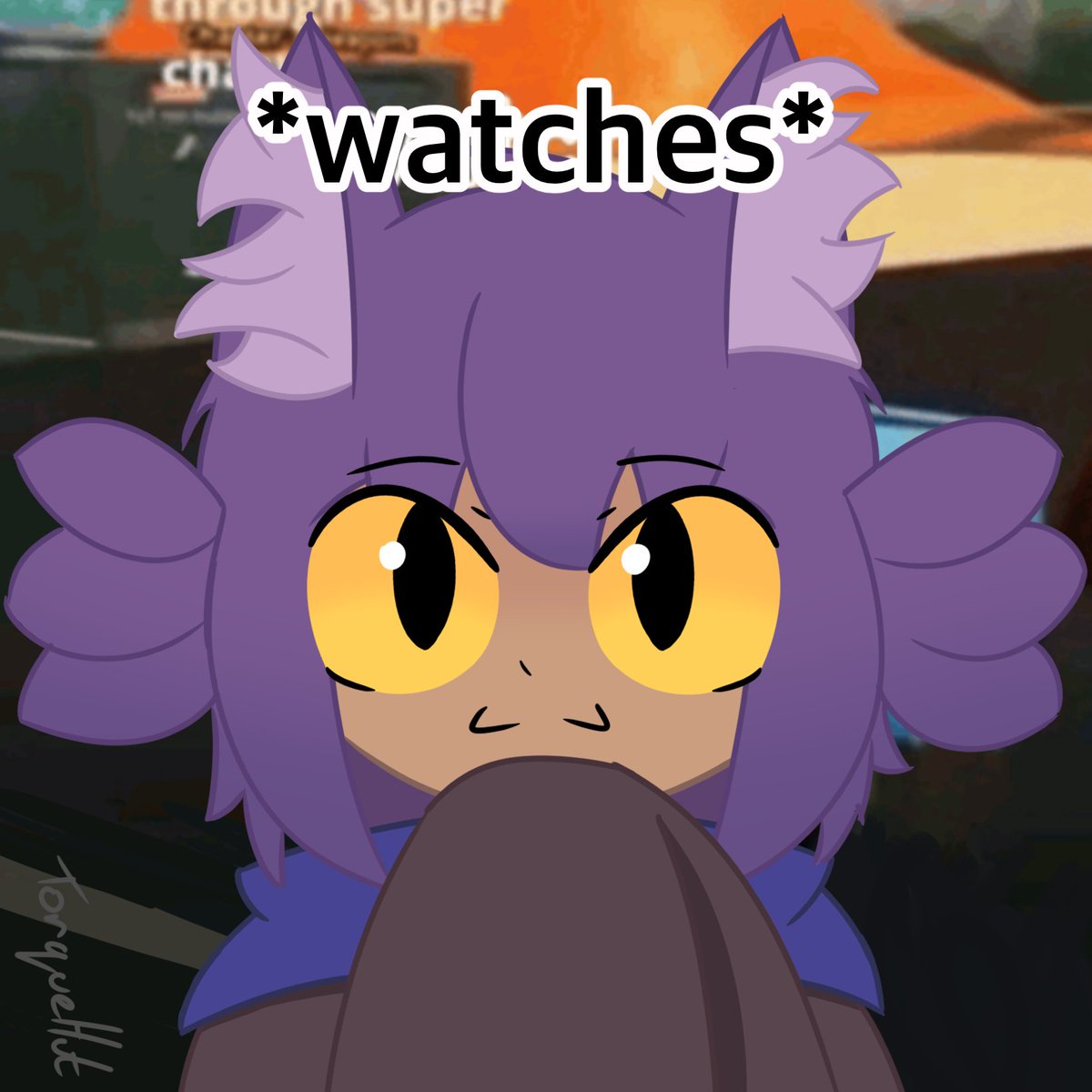 TorqueHut (HDP) tweet media