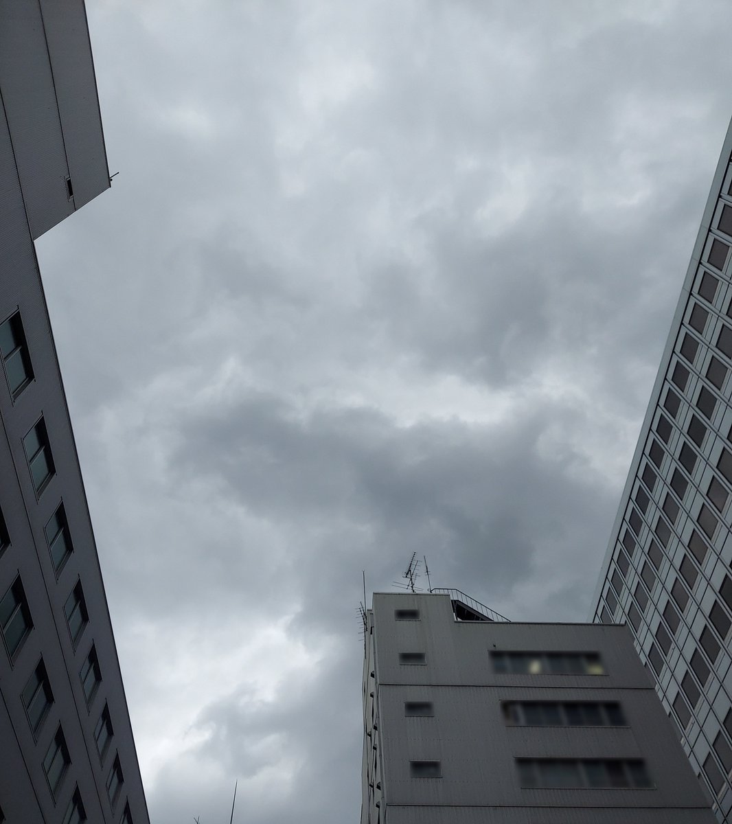 【公式】㈱フレンセル　NS事業部 tweet media