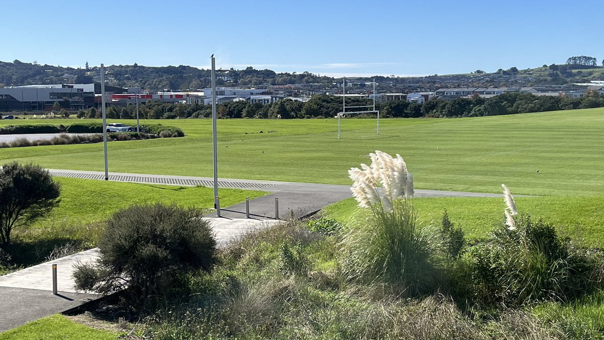 理昂在纽村🤾🏻🏳️‍🌈🇳🇿 tweet media