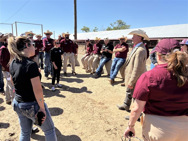 Texas A&M AgriLife Extension Service tweet media