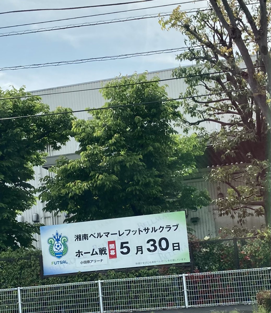 石田江利 tweet media