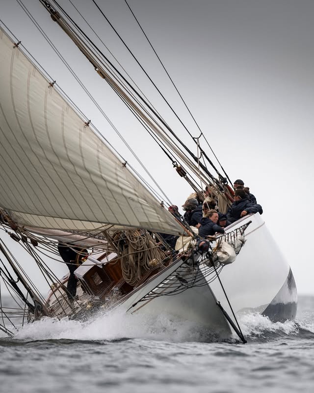 DelightMoments_'s tweet image. #sailing