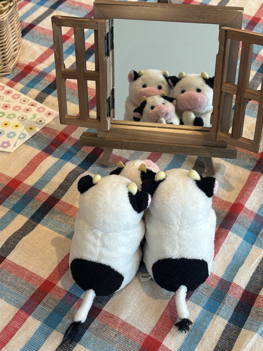 これは、みんなでおめかししている時の写真🐮🐮🐮🪞✨