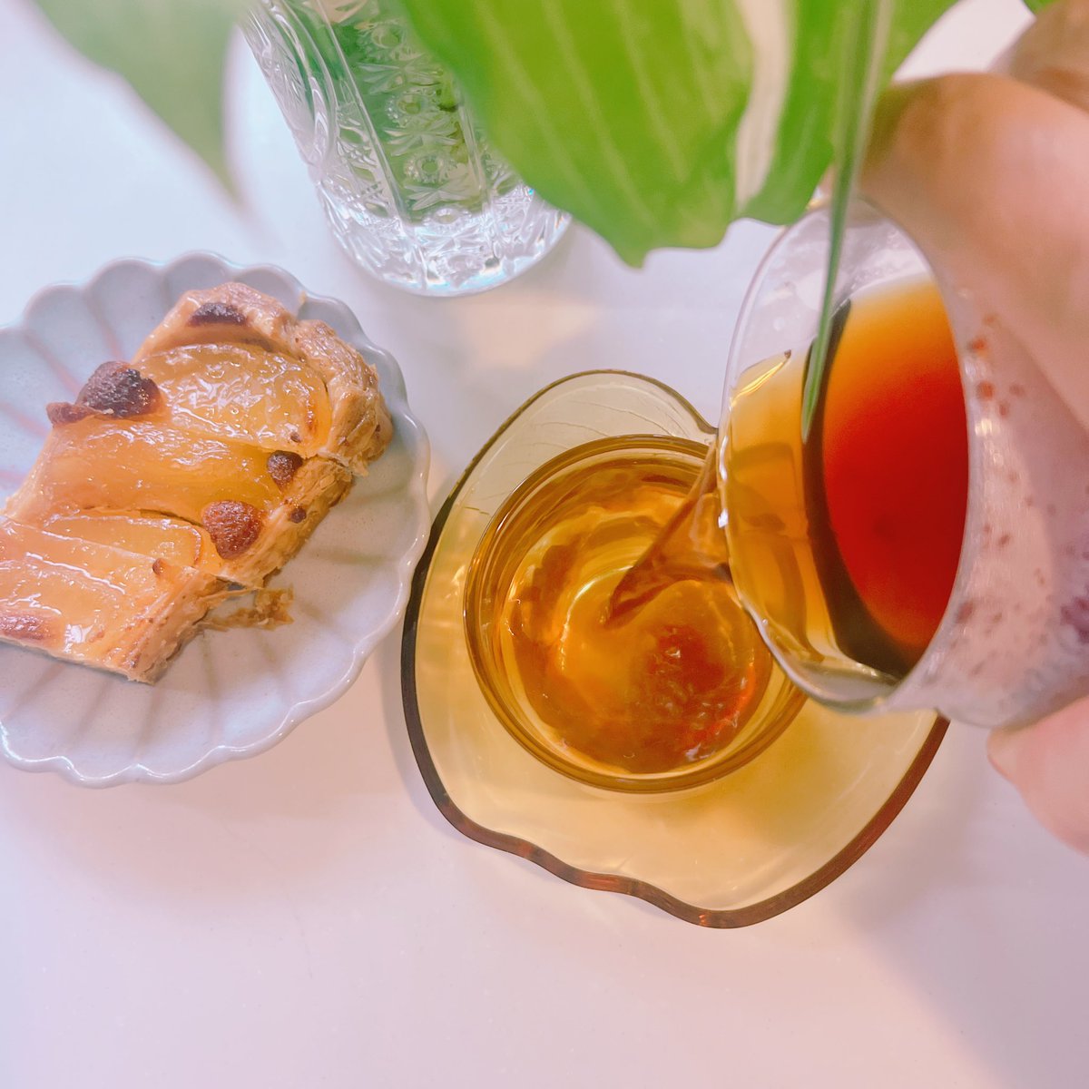 TamaCo_ffee（たまこーひー） tweet media