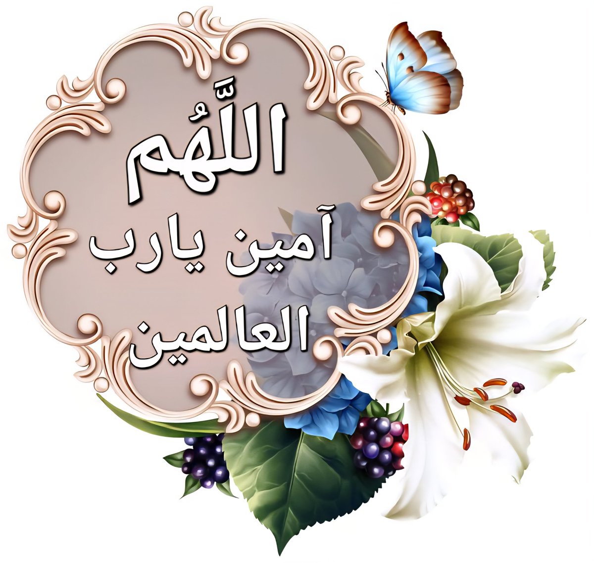يونس محمد tweet media