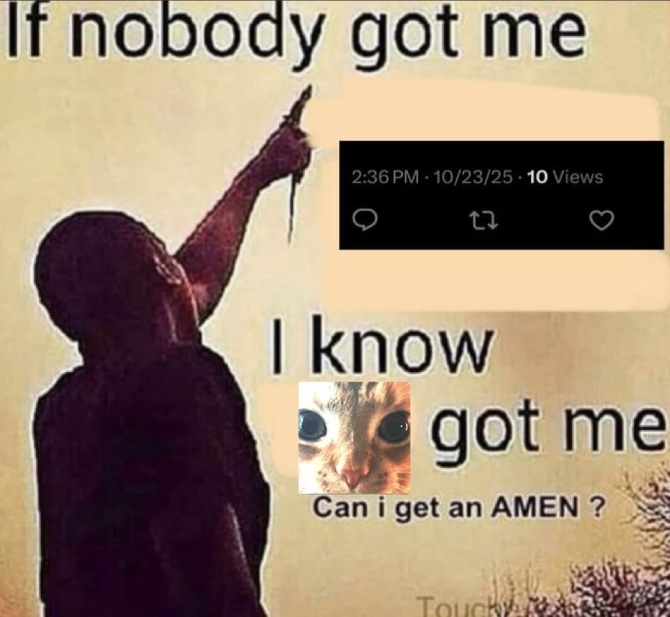 Stephen Stonking 🧠🧬🌌 tweet media