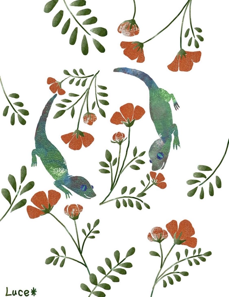 Luce✴︎ルーチェ tweet media