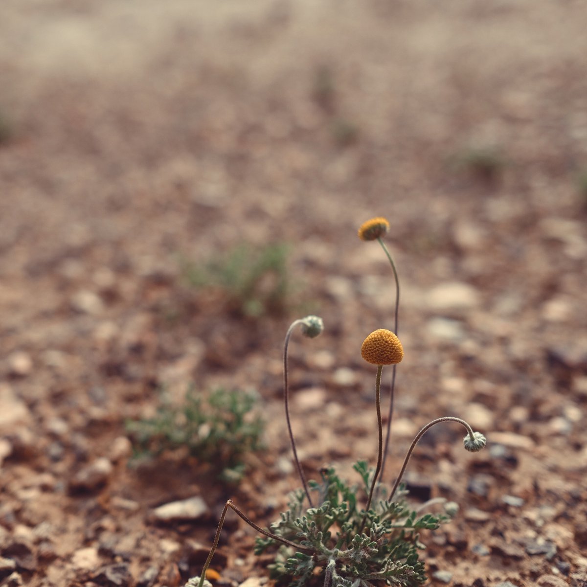 Иван Юскович tweet media