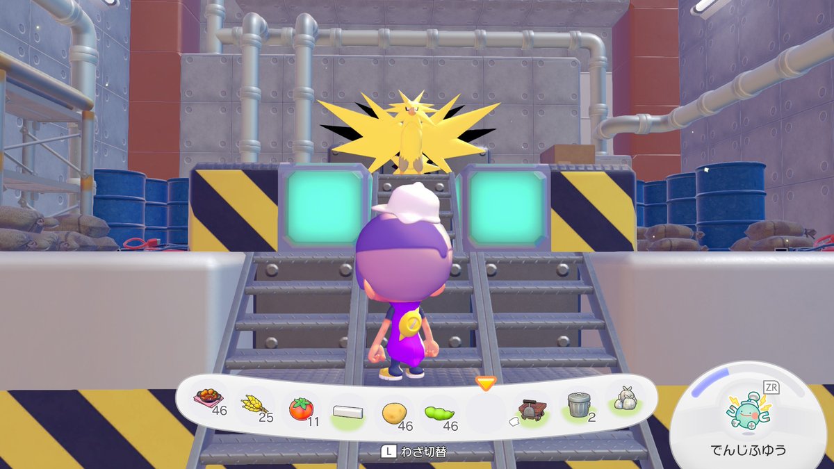 XL文鳥 tweet media