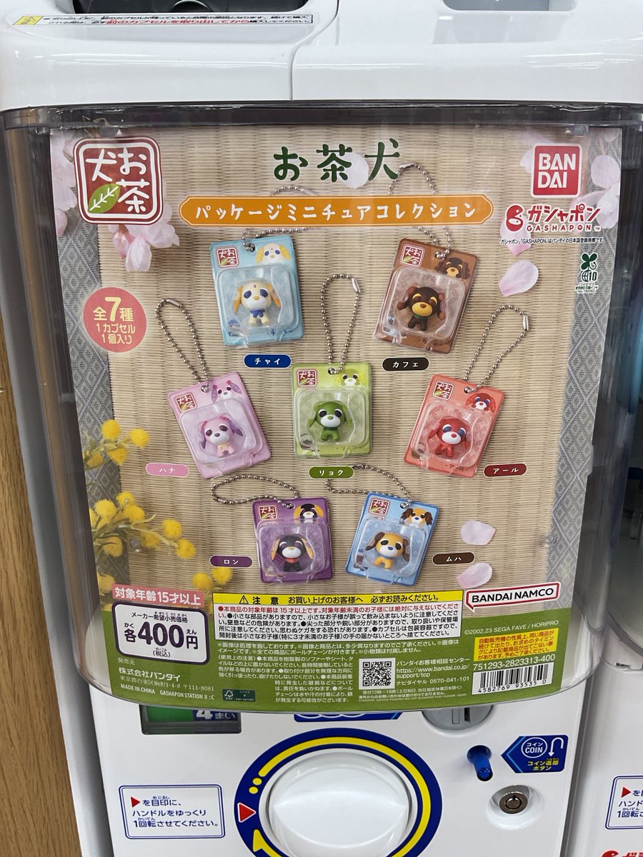 ガシャココ平安堂飯田入荷商品🙌 ・お茶犬パッケージミニチュア