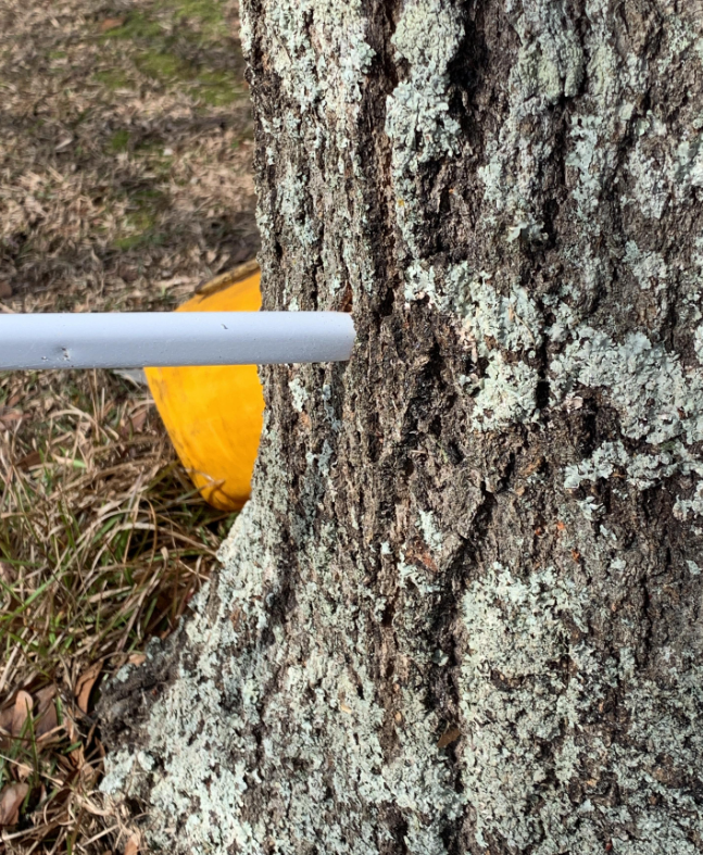 Project Vortex Breakdown tweet media