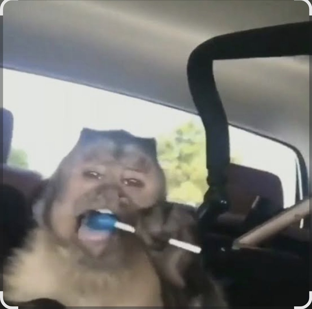 Contestin tweet media