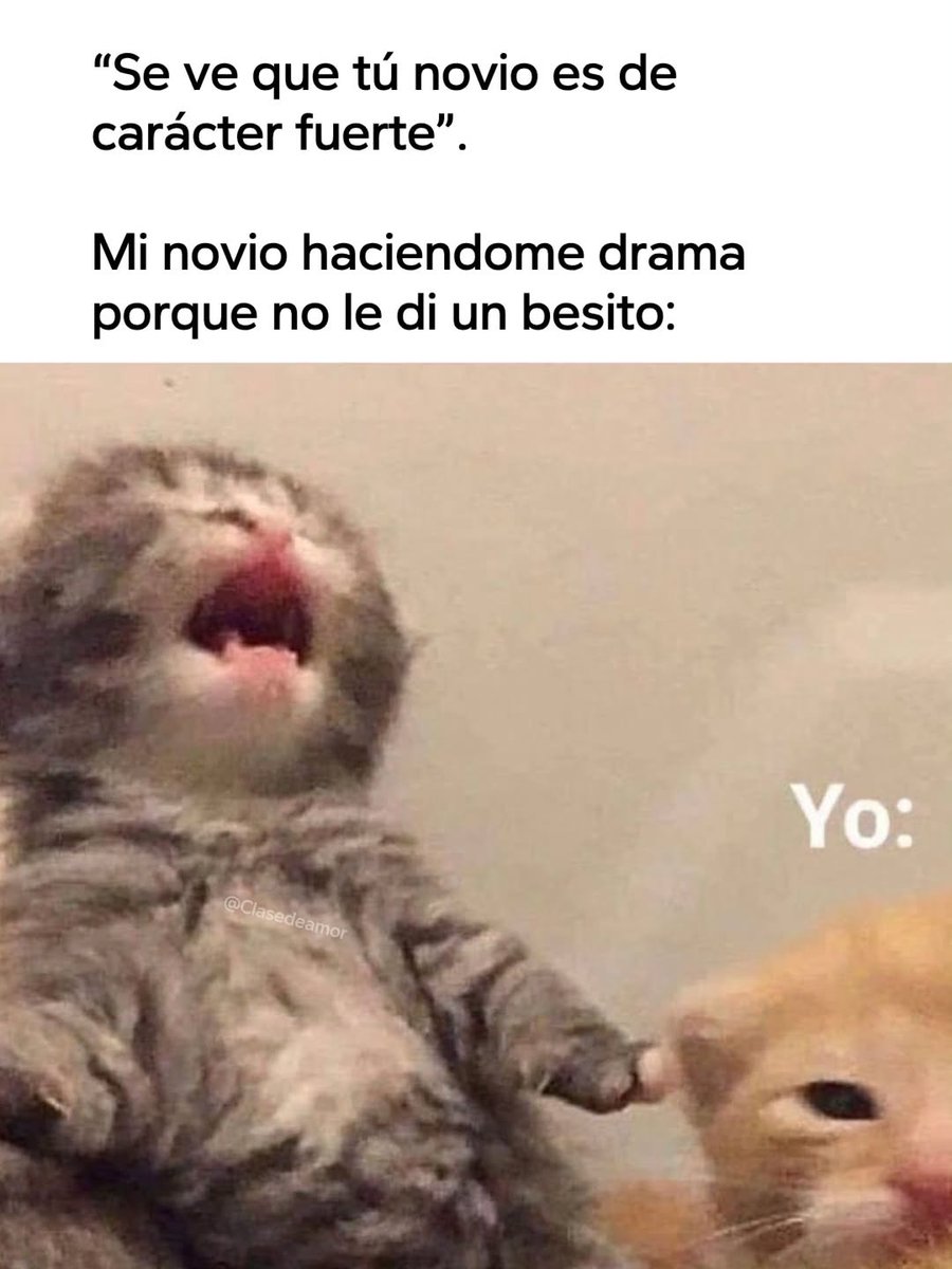 Mundo de Bigotes (@mundodebigotes) on Twitter photo 