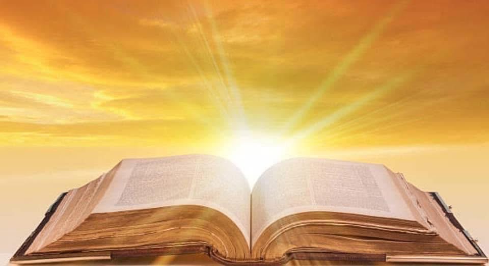 Joy N. Jesus tweet media