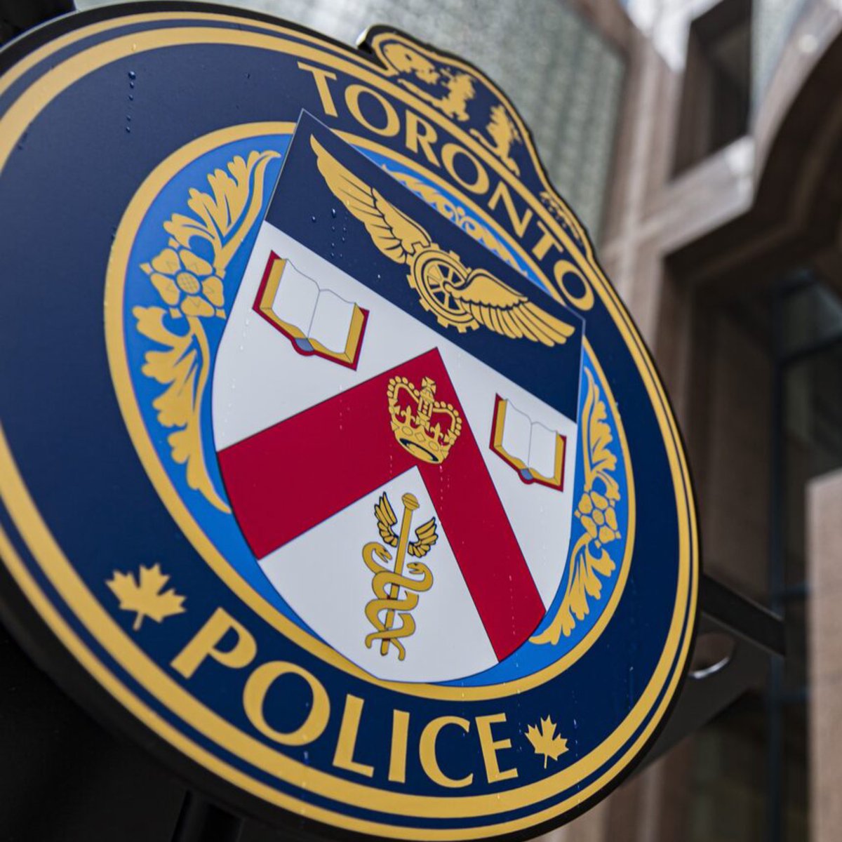 6ixBuzzTV tweet media