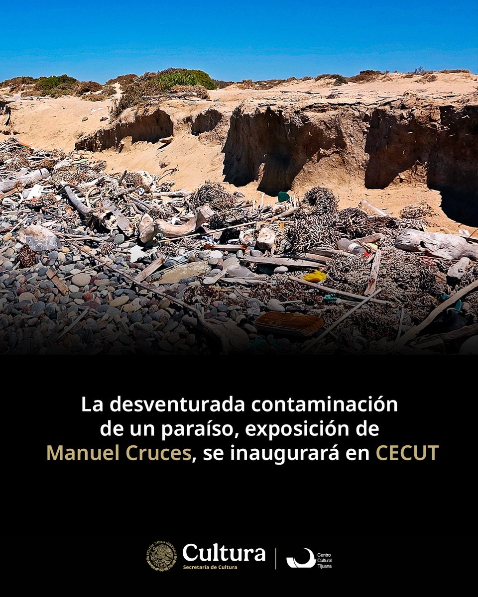 CECUT MX tweet media