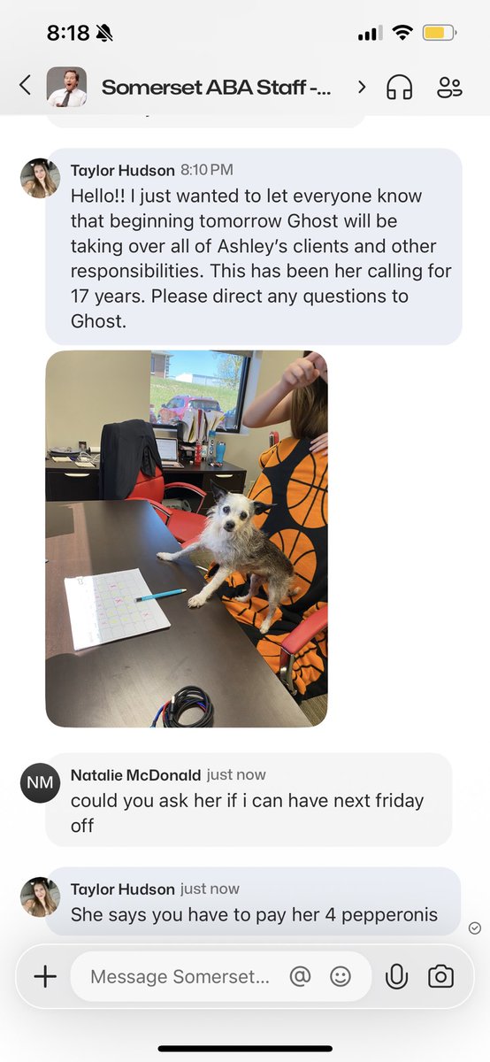taylorrhudson's tweet photo. I wonder if my coworkers can tell when I’m bored out of my mind https://t.co/iQNMSb1Zwl