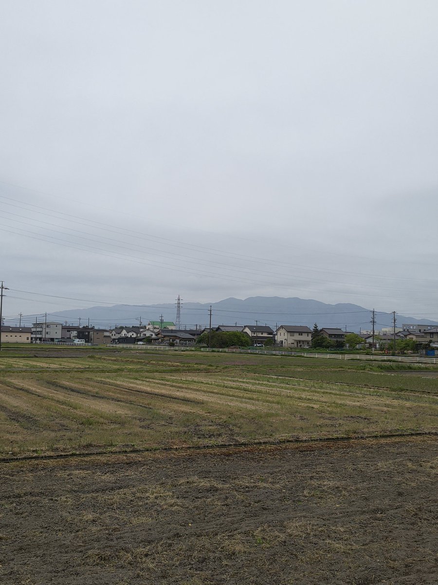 美濃のQ tweet media