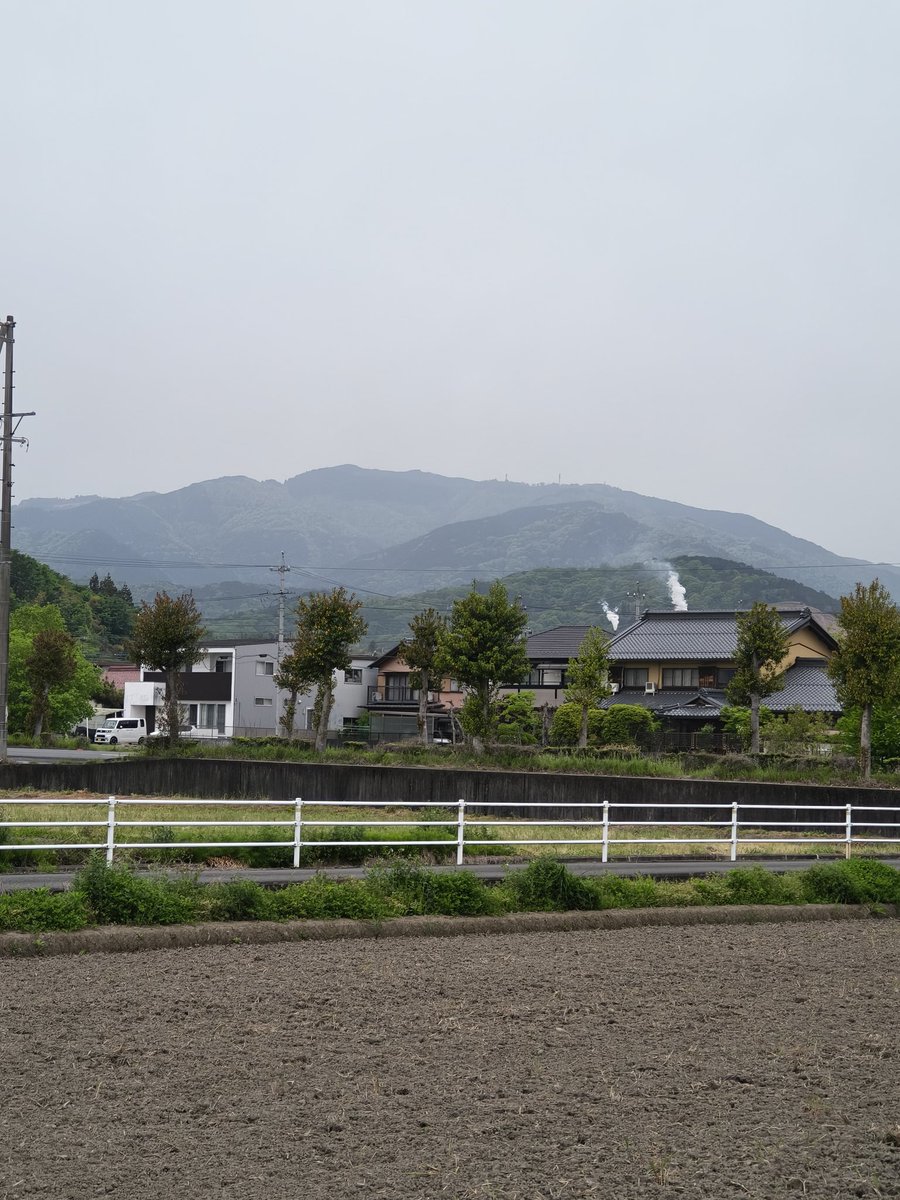 美濃のQ tweet media