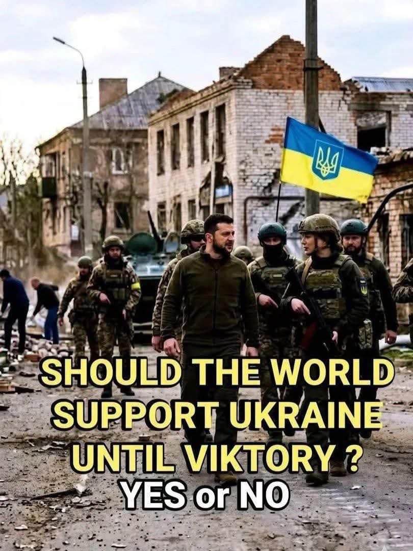 Gianl1974 tweet media