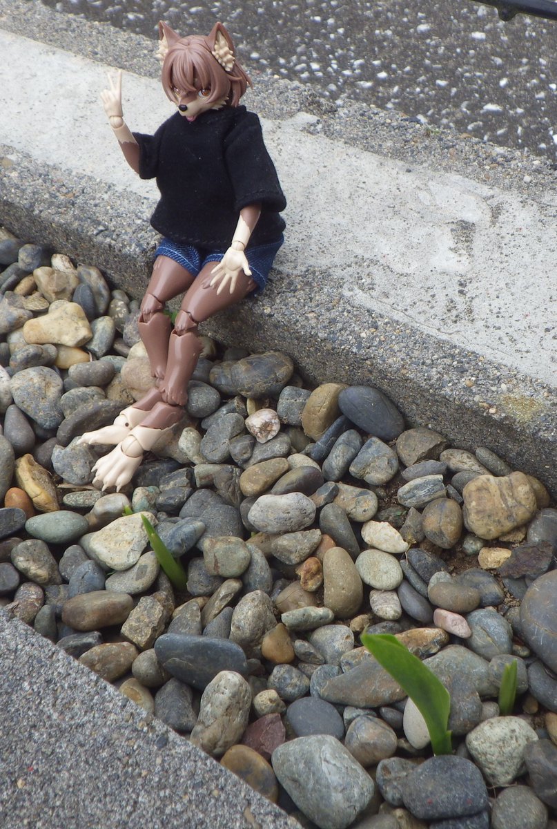 照和霊和Ｂ tweet media