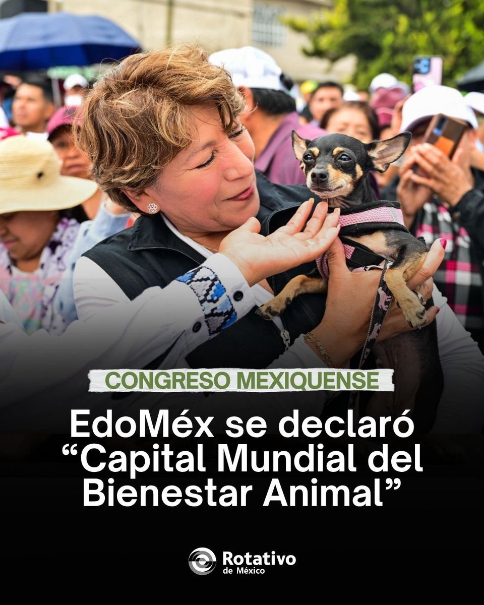 rotativodemex's tweet image. Edoméx aprueba ley histórica de bienestar animal 🐾
Reconoce a los animales como seres sintientes y endurece sanciones por maltrato, con multas de hasta $35 mil y arrestos.

#BienestarAnimal #Edomex #Noticias