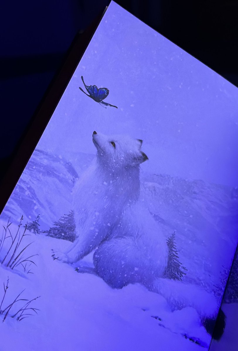 Lua - Fallen 🪽 tweet media