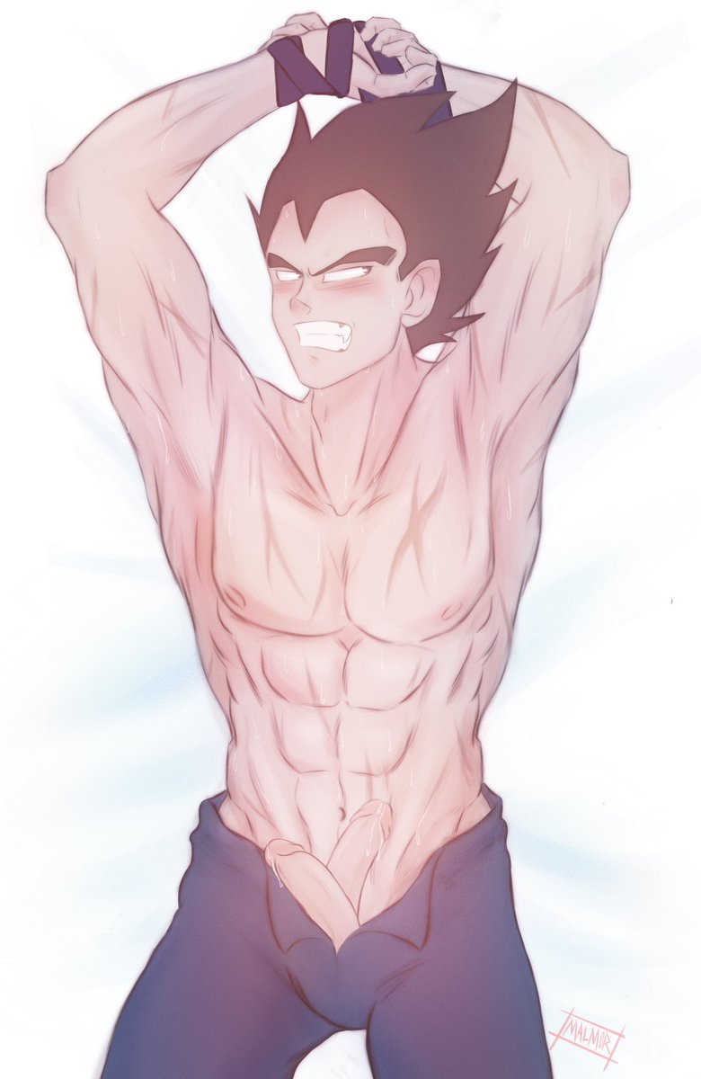 Malmor_Art's tweet photo. @DaniUT_Art here is your double pp plus the regular one 😂
#NSFW #Vegeta #DragonBall #DoublePP https://t.co/KuSakHpDhw