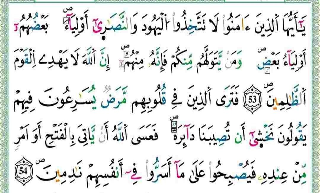 الشاهين tweet media