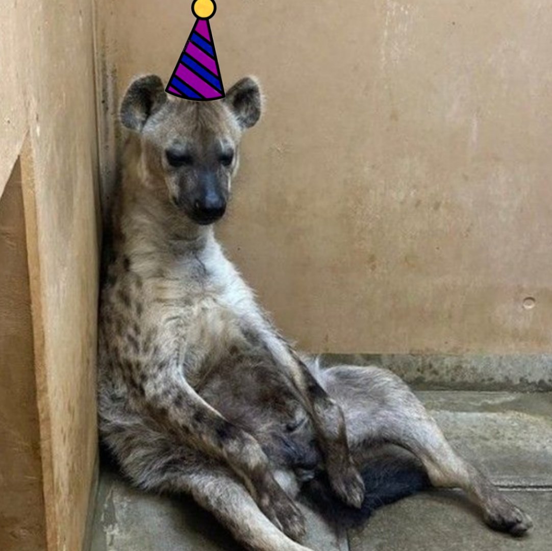 ㅤ
Niega lentamente antes de... 

Listo ✨ está perfecto para el cumpleaños de Inoko-chan.
ㅤ