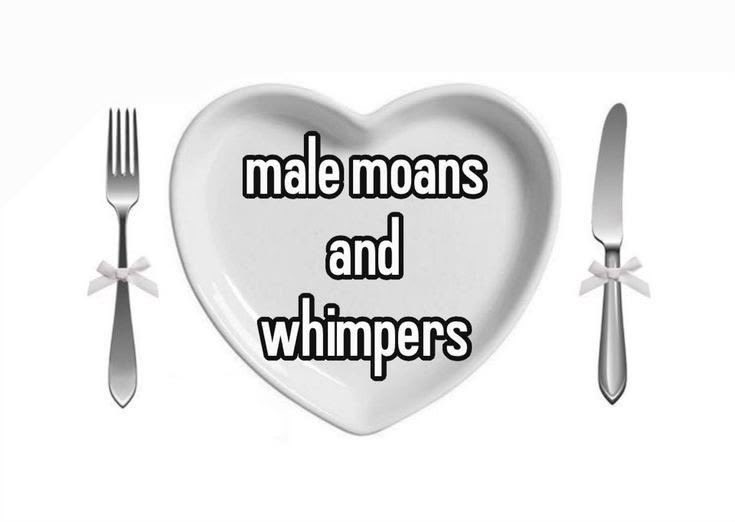 ✌︎︎ tweet media