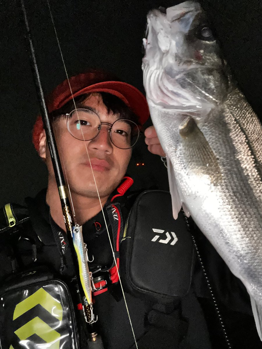 へっぽこ釣り師 tweet media