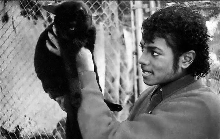 my gentle, soft, empathetic and kind soul, you’re missed, terribly missed.