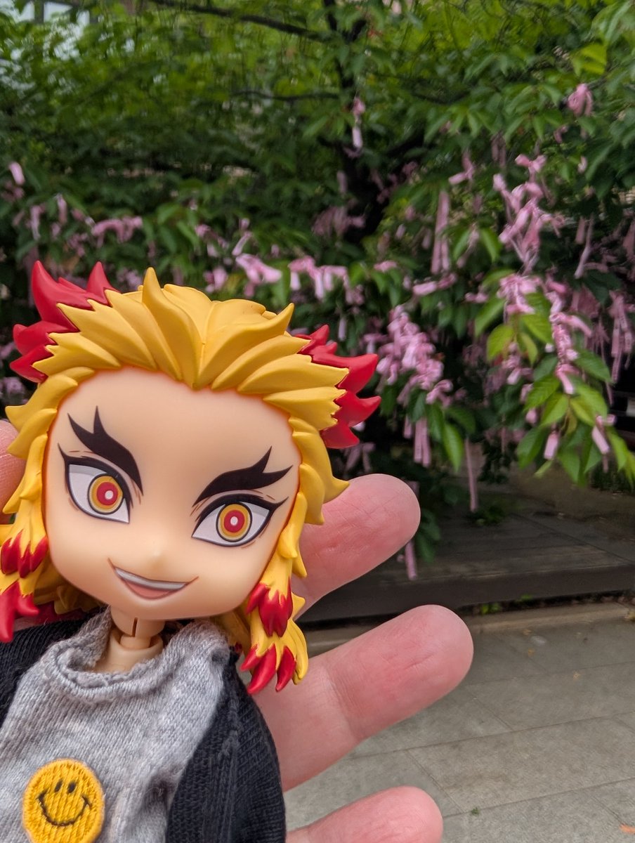 ぴーすけ tweet media