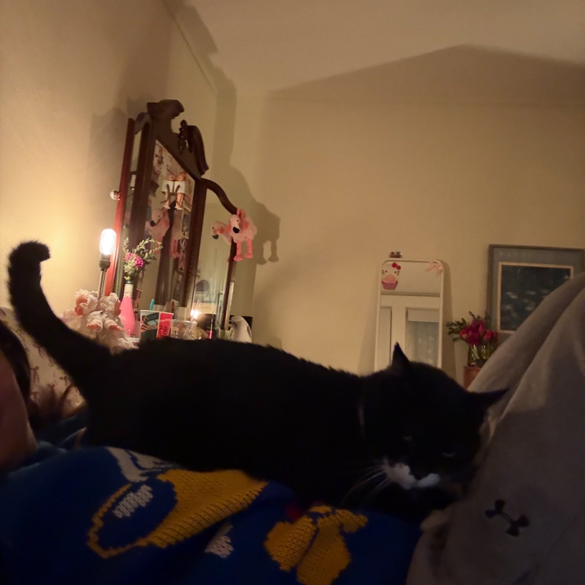 it’s dougie gotcha day !!!!! LUV THIS NUGGET SO MUCH <333 #whatdoyoucallyourroommatescat
#isthismystepcat #proudstepmother