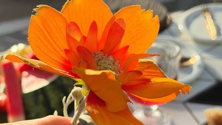 𝘴𝘢𝘺𝘢𝘯 ₊˚⊹ tweet media