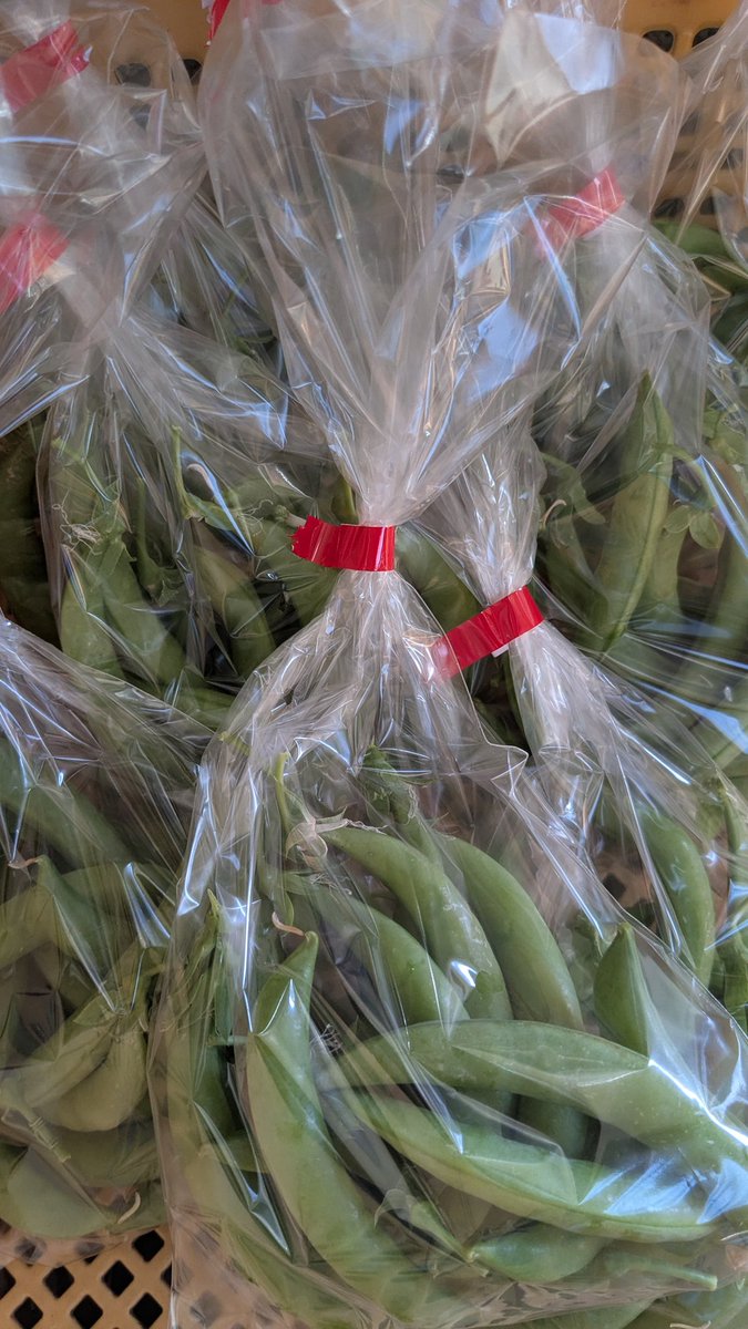 調布ベジトラスト（Farmer’s shop） tweet media