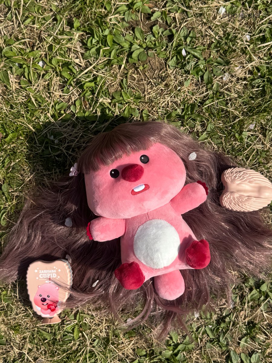 탱글엔젤 코리아 tweet media